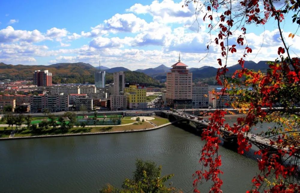 通化的概念、过程及其意义解读