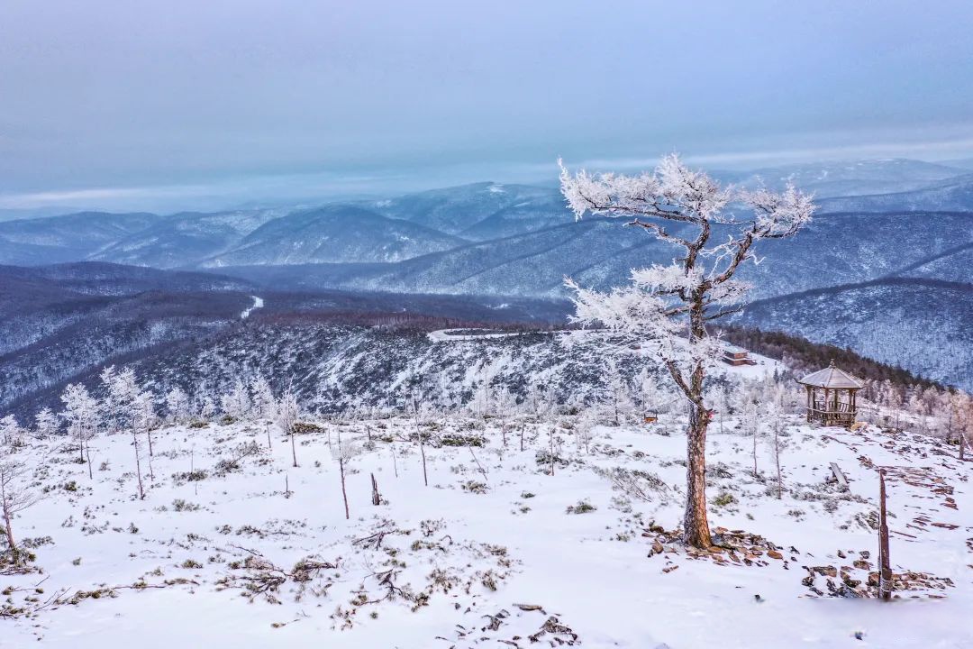 白山美景探索之旅